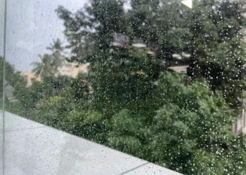 Andhra Pradesh lightning alert