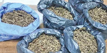 Drug Menace Continues in Guntur Despite Police Crackdown
