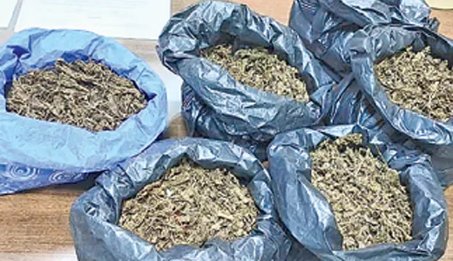 Drug Menace Continues in Guntur Despite Police Crackdown