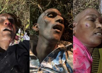 Guntur Road Accident: 3 Killed as Private Bus Hits Car