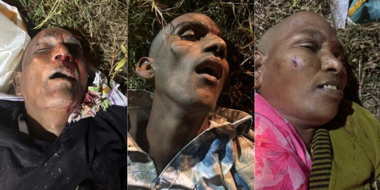 Guntur Road Accident: 3 Killed as Private Bus Hits Car