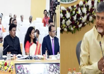 AP Collectors Conference