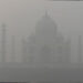 Dense Fog Hides Taj Mahal, Tourists Disappointed in Agra