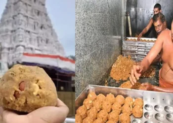 TTD Kalthe Neiyyi, Bhole Baba Dairy