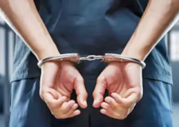 30 Illegal Indian Immigrants Arrested in US Trucking Crackdown