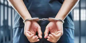 30 Illegal Indian Immigrants Arrested in US Trucking Crackdown