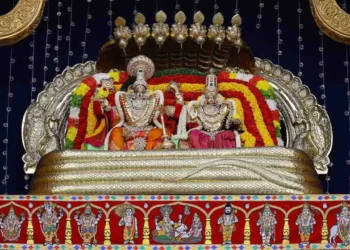 Vaikuntha Ekadashi Special: How Many Hours of Darshan Will Devotees Get?