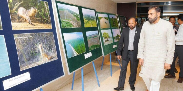 pawan kalyan says mangrove forests act as a protective wall and reveals 700 hectares of mangrove development in ap
