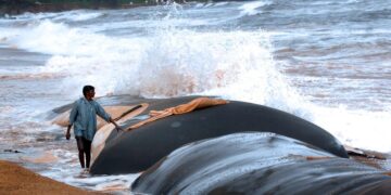 Geo tube protection wall built to stop sea erosion in West Godavari