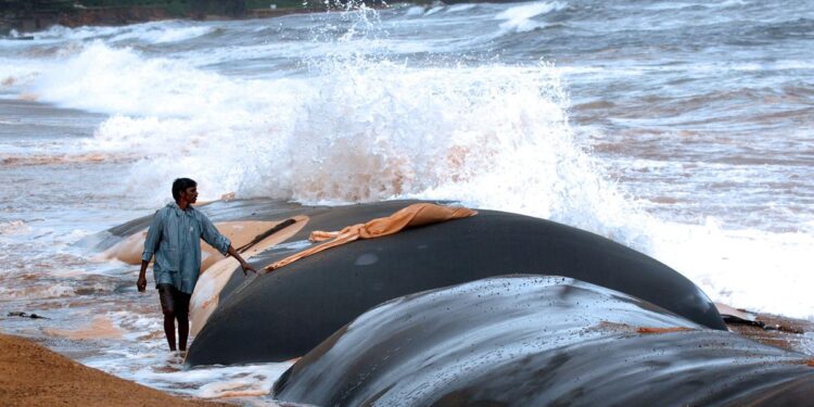 Geo tube protection wall built to stop sea erosion in West Godavari
