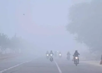 Dense fog affecting roads in Andhra Pradesh districts