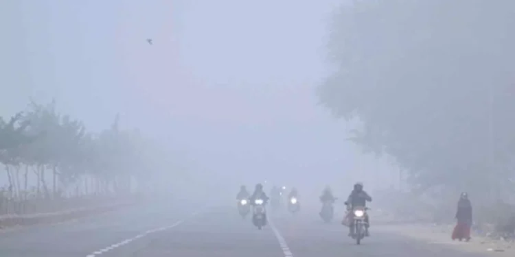 Dense fog affecting roads in Andhra Pradesh districts