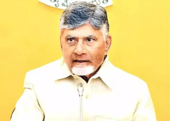 Andhra Pradesh Chief Minister Chandrababu Naidu during an official meeting