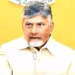 Andhra Pradesh Chief Minister Chandrababu Naidu during an official meeting
