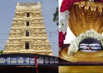 Chenchu tribal devotees receive free Sparsha Darshan at Srisailam