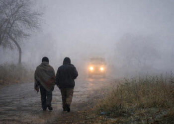 IMD Issues Five-Day Fog Alert for Coastal and Rayalaseema Regions of Andhra Pradesh