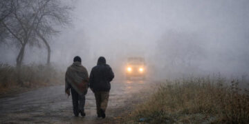 IMD Issues Five-Day Fog Alert for Coastal and Rayalaseema Regions of Andhra Pradesh