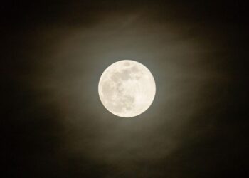 Full Moon Days in 2026