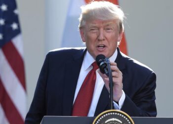 highlighting economic strength of indians