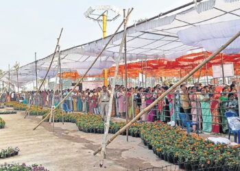 Devotees throng Arasavalli Surya Narayana Temple during Rathasaptami in Srikakulam