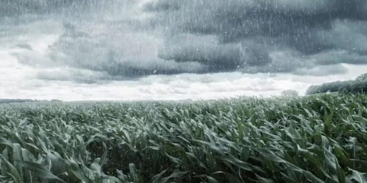 low pressure in bay of bengal may bring light to moderate rain in coastal and rayalaseema districts of andhra pradesh from jan 9