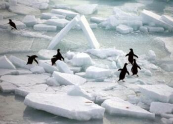 ocean warming reached record highs in 2025 as seas absorbed massive heat, worsening floods, droughts and climate risks worldwide.