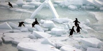 ocean warming reached record highs in 2025 as seas absorbed massive heat, worsening floods, droughts and climate risks worldwide.