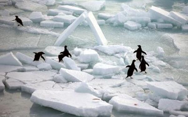 ocean warming reached record highs in 2025 as seas absorbed massive heat, worsening floods, droughts and climate risks worldwide.