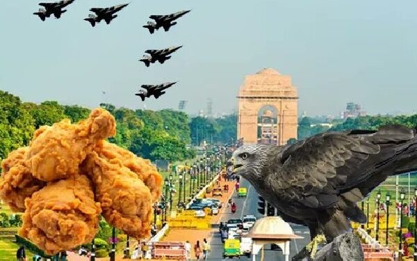 delhi ordered 1275 kg of chicken to control birds and prevent aircraft mishaps during republic day air force displays.