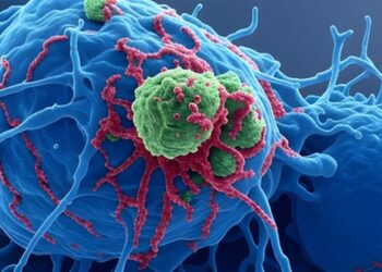 Gynecologic Cancer,gynecologic cancer radiation treatment,healthy tissue,gynecologic cancer treatment,radiation therapy