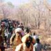 Karnataka devotees walking to Srisailam Mallikarjuna Swamy temple