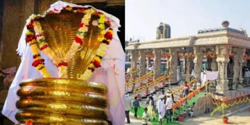 kesslapur nagoba jatara begins today in adilabad telangana. thousands of tribals gather for sacred rituals and traditions.