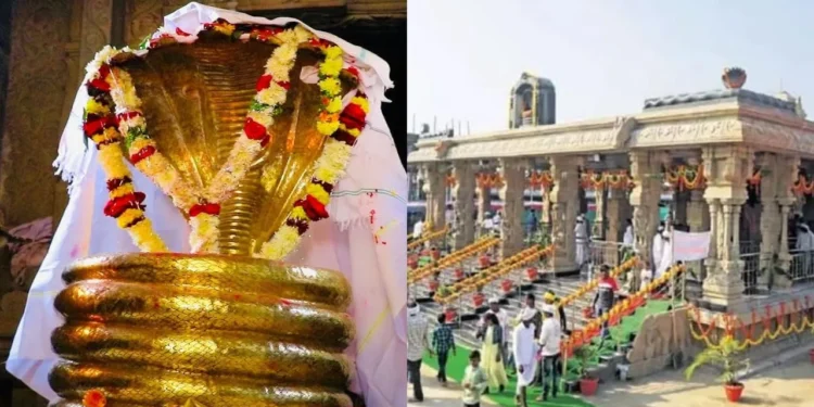 kesslapur nagoba jatara begins today in adilabad telangana. thousands of tribals gather for sacred rituals and traditions.