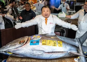 a fish worth rs 29 crore: japan tuna auction shocks tokyo