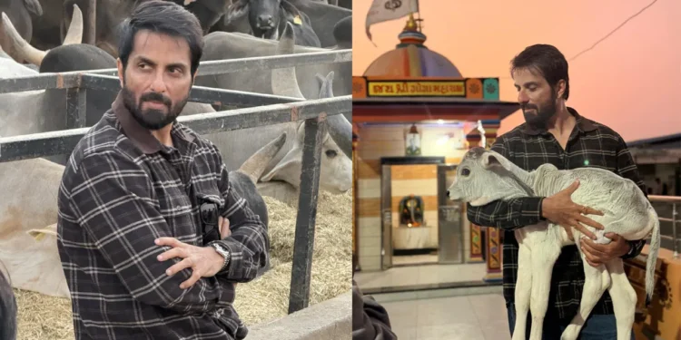 Sonu Sood wins hearts again by donating ₹11 lakh to a cow shelter in Gujarat, praising villagers for protecting animals.