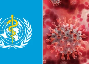 subclade k virus spreads fast in the us and europe, causing severe flu symptoms as health agencies issue fresh alerts.