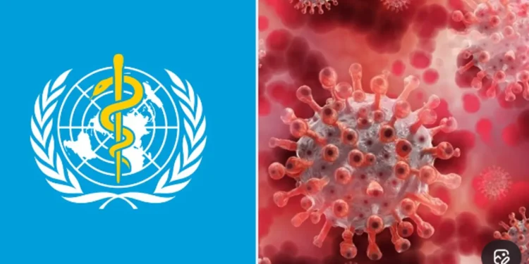 subclade k virus spreads fast in the us and europe, causing severe flu symptoms as health agencies issue fresh alerts.