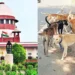 supreme court warns states of heavy fines and compensation for every stray dog bite amid rising attacks nationwide.