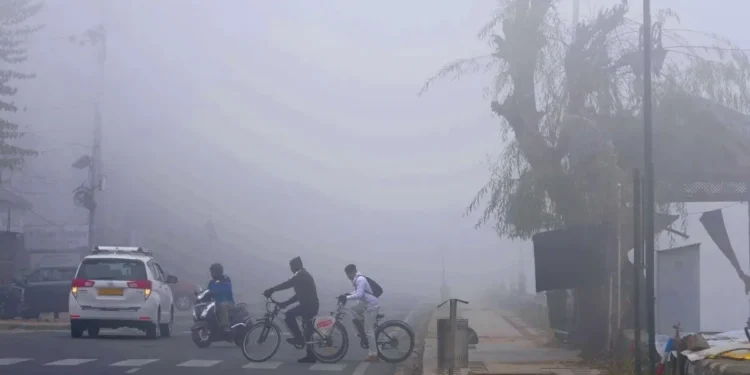 Get the latest Telangana Weather Update. Experience a transition from winter chill to warmer daytime temperatures across the state.