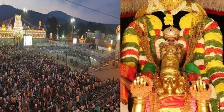 Ratha Saptami 2026 at Tirumala: Lord Malayappa blesses devotees on seven vahanas in a single day. Full schedule here.