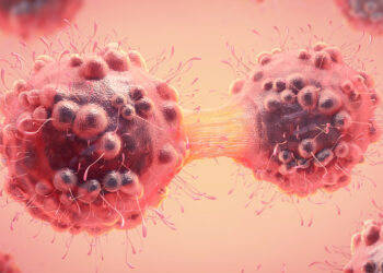 FMT capsules boosting immunity for lung and skin cancer patients