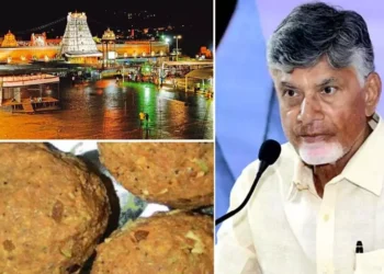 Andhra Pradesh coalition leaders meeting at Chandrababu Naidu residence