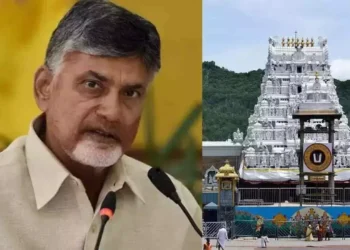 Chandrababu Naidu speaking on Tirumala TTD irregularities