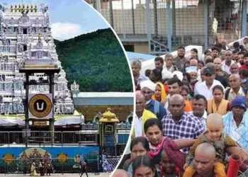 Devotees waiting in queues at Tirumala temple for darshan