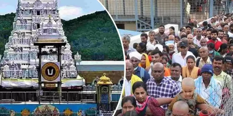 Devotees waiting in queues at Tirumala temple for darshan