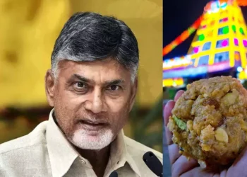CM Chandrababu Naidu addressing temple prasadam issues