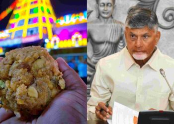 CM Chandrababu Naidu addressing Tirumala laddu adulteration issue