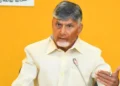 ed gives clean chit to chandrababu naidu in skill development case