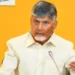ed gives clean chit to chandrababu naidu in skill development case
