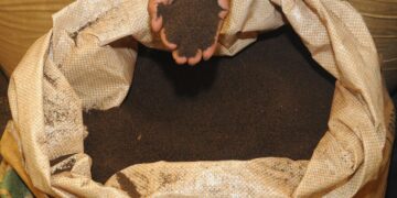 Seized adulterated tea powders in Andhra Pradesh market